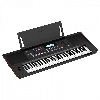 Синтезатор с автоаккомпанементом Roland E-X50
